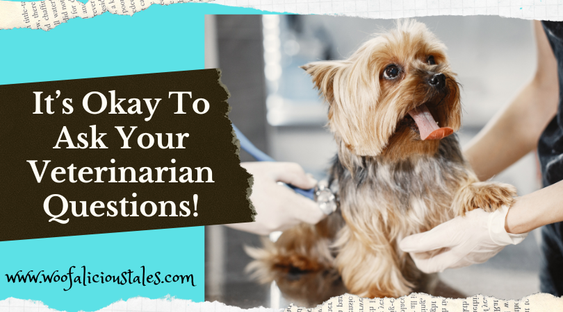 It's Okay To Ask Your Veterinarian Questions! - Woofalicious Tales